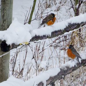 Meet your Posher, Terri